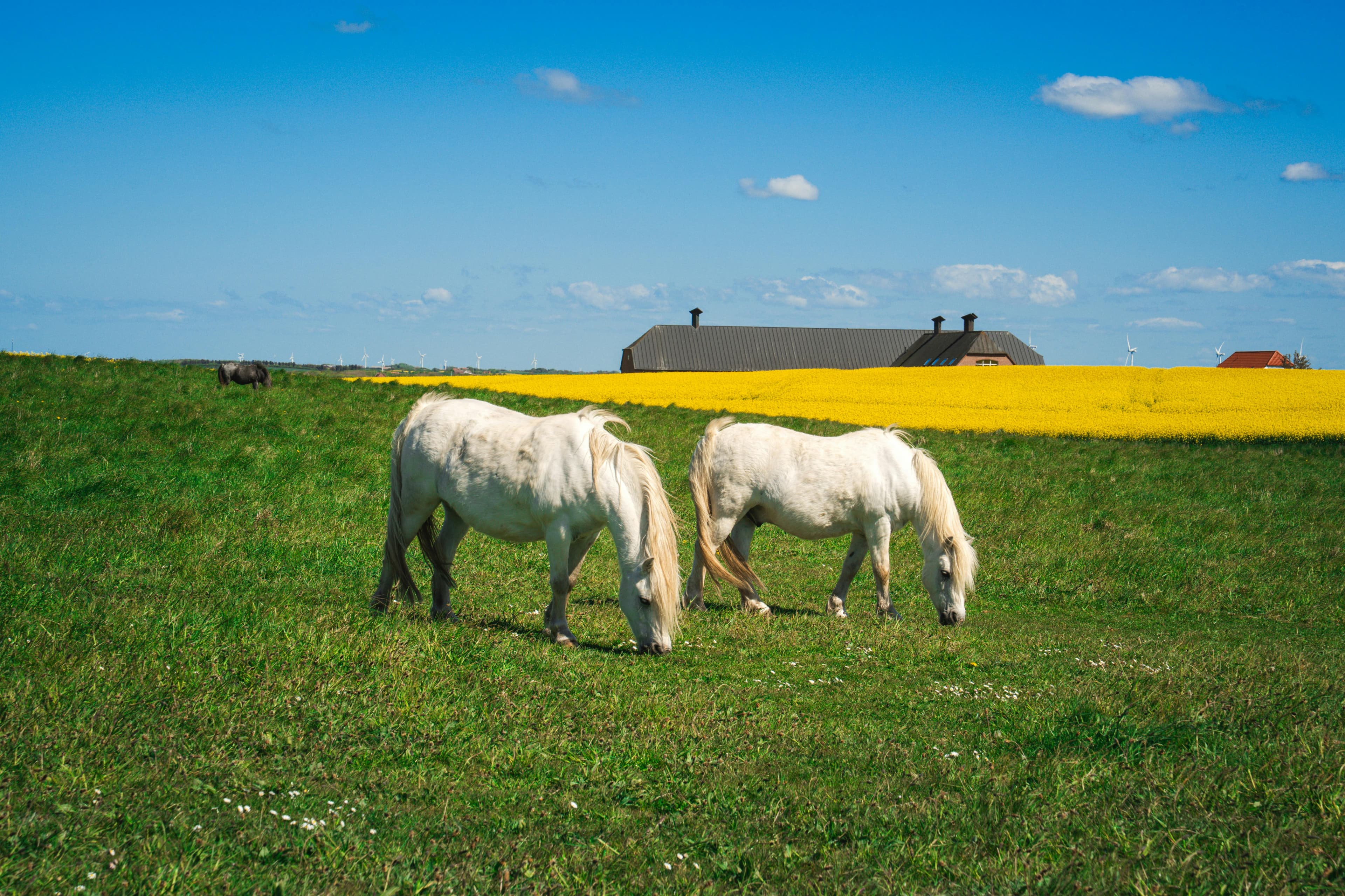 测试一个产品 thumbnail 2